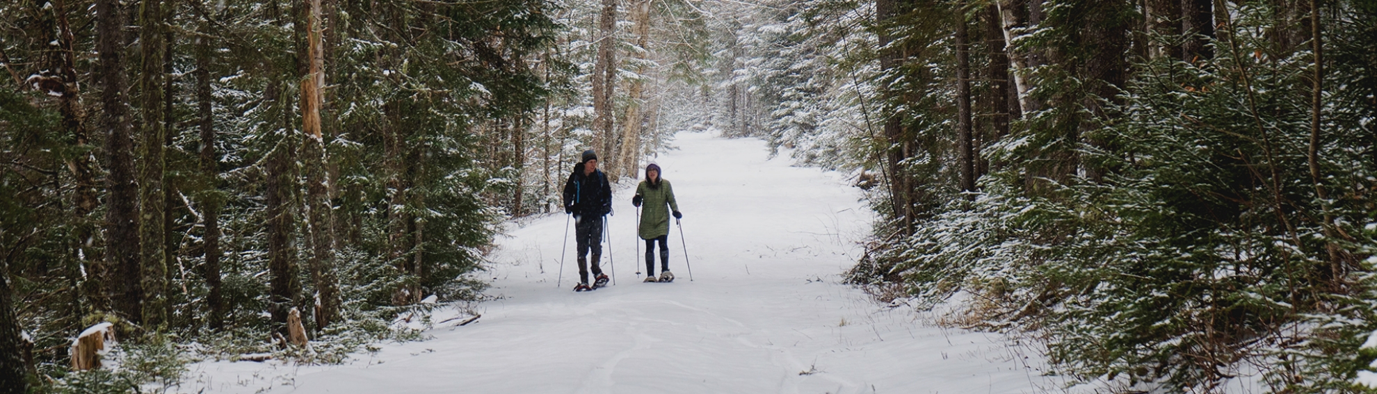 Picture of Public Snowshoe Tickets