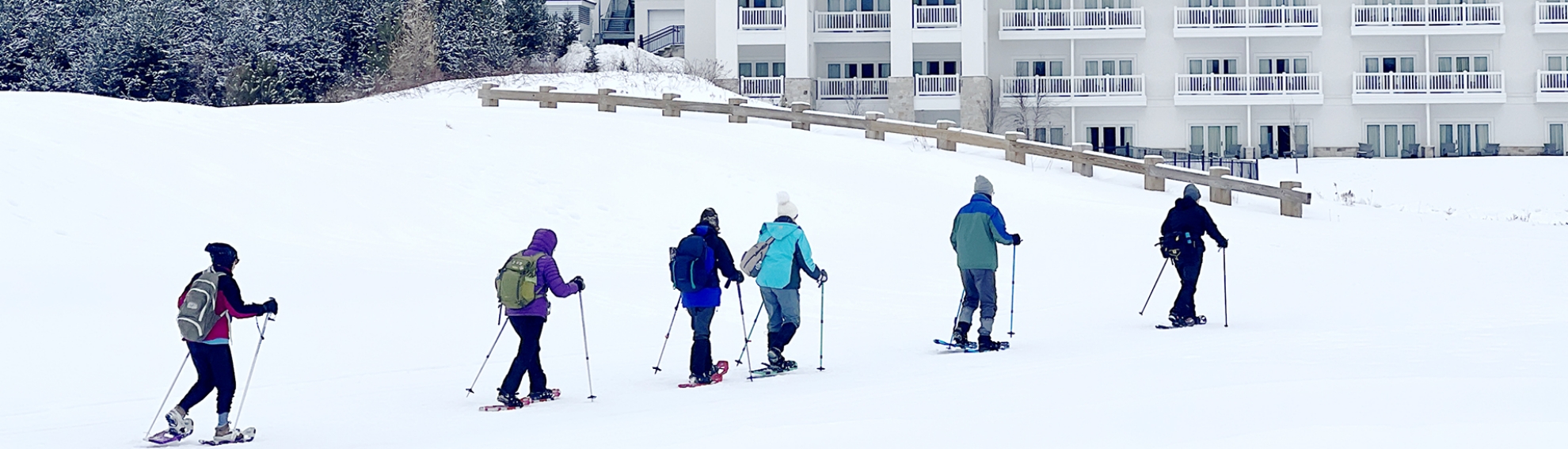 Picture of Guided Snowshoe Tour