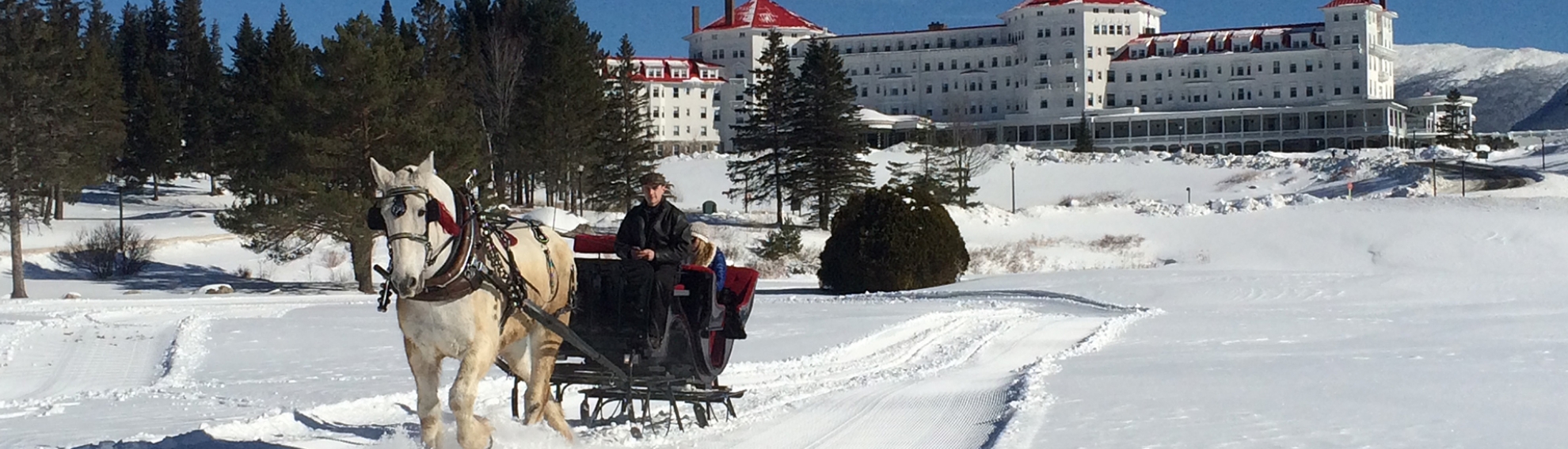 Picture of Holiday Sleigh Ride 