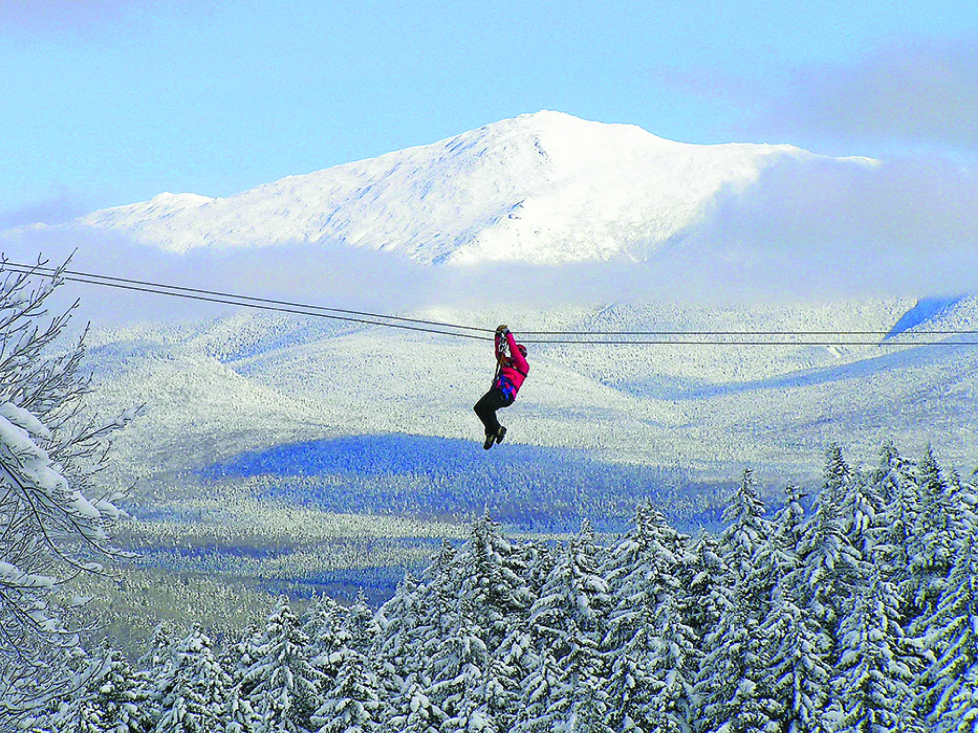 Picture of Canopy Tours